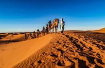 Doha Desert Safari Dune bashing,Sandboarding,CamelRide,Inland Sea