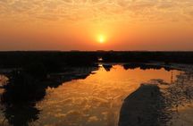 Private North of Qatar: Zubara Fort | Jumail Village | Al-Thakhira Mangroves