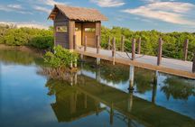 Private North of Qatar: Zubara Fort | Jumail Village | Al-Thakhira Mangroves