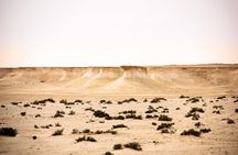 West of Qatar Tour || Richard Serra || Mushroom Rock Formation