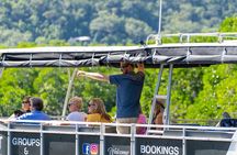 Cairns Trinity Inlet Sightseeing Safari 
