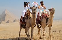 Half Day Tour Giza Pyramids &Great Sphinx with Private Tour Guide