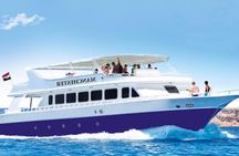 Full-Day Private Cruise in Ain Sokhna with Lunch