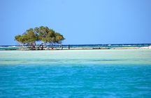 Full-Day Private Cruise in Ain Sokhna with Lunch