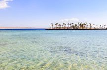 Full-Day Private Cruise in Ain Sokhna with Lunch