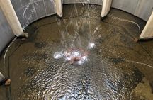Half Day Cradle Of Humankind Tour