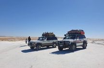 Full Day Private Bahariya Oasis and White Desert Tour from Cairo