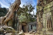 One Full Day Private tour of Angkor Wat, Ta Prohm, Angkor Thom & Banteay Srie