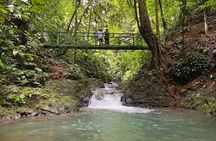 Guided hiking Tour by the Mystic Ebano Rainforest in Costa Rica