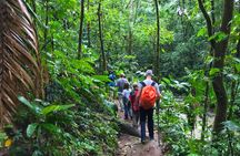Guided hiking Tour by the Mystic Ebano Rainforest in Costa Rica