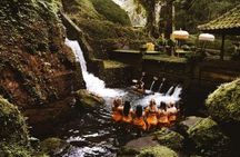 A Day Retreat In Ubud
