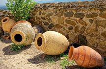 Kakheti Wine Tour for beginners - 3 wineries