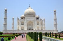 From Delhi: Golden Triangle Private Tour with Hotels 