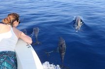 Discover Maafushi in 4 Nights 5 Days (Tour A)