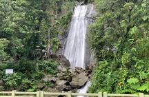 El Yunque National Forest and Luquillo Beach Tour