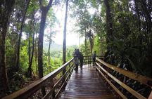 Veragua Rainforest Experience and Tram Ride in Puerto Limon