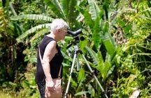 Veragua Rainforest Experience and Tram Ride in Puerto Limon