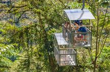 Veragua Rainforest Walk, Tram & Tortuguero Boat Tour. Limon Shore Excursion