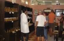 Agadir City Tour