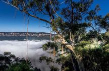 PRIVATE Blue Mountains Wilderness & Wildlife Late Start Tour