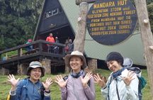 4-Day Serengeti, Ngorongoro Crater and Tarangire Fly-in