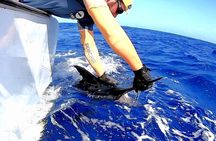 GOLDEN WAVE 3 - IGFA Captain Vic - Blue Marlin Fishing