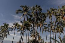 Photo Session Experience in Vallarta