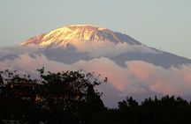 Kilimanjaro Shira Plateau E-Bike Day Trip
