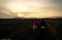 Family Horse Riding Tour in Thorlakshofn