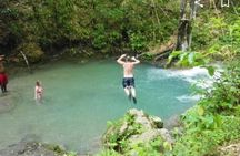 Mayfield Falls Tour with Lunch, drink, Entry & Transp(Original)
