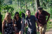 Rio Celeste Waterfall at Tenorio Volcano and Sloth Watching Tour From San Jose