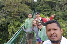 3-Day Arenal Volcano Hanging Bridges Hot Springs & Manuel Antonio