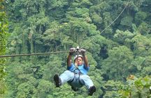 Monteverde Cloud Forest Hike and Hanging Bridges Tour From Guanacaste