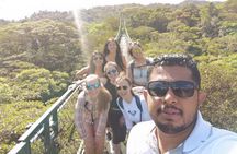 Monteverde Cloud Forest Hike and Hanging Bridges Tour From Guanacaste
