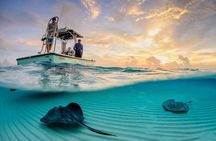 Cozumel Snorkel Experience! El Cielo Beach & Reef from Tulum City