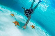 Cozumel Snorkel Experience! El Cielo Beach & Reef from Tulum City