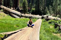 Semi Private Tour to Sequoia National Park with Lunch