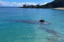 Native Hawaiian Circle Island Tour