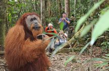 Bukit lawang tour 3days-2 night jungle trekking including rafting