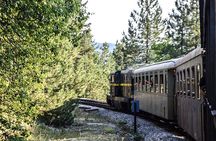 Mokra Gora and Tara National Park Full-Day Private Tour