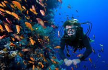 2 Tank Dive in Cozumel