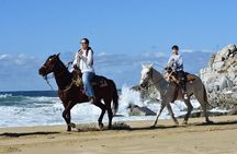 Horse Back Ridding Tour on the Pacific Ocean & Desert