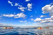 Morning Guided Kayak Tour