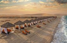 Full-Day Desert Safari with Buffet Dinner || Inland Sea Visit