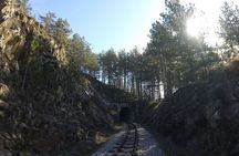 Mokra Gora and Tara National Park Full-Day Private Tour