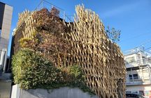 Tokyo Architecture and Contemporary Art Walking Tour with a local guide