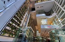 Tokyo Architecture and Contemporary Art Walking Tour with a local guide