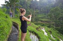 Best of Ubud - Ubud Tour Popular - All Inclusive