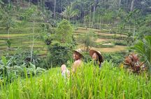 Best of Ubud - Ubud Tour Popular - All Inclusive