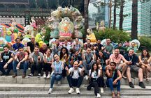 VIP Full Day Seoul Private Sightseeing Tour Fully Custom to You